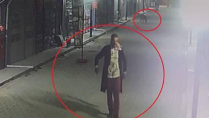 İş yerinin kapısını a&ccedil;an madde bağımlısı, kedileri k&ouml;peklere par&ccedil;alattı