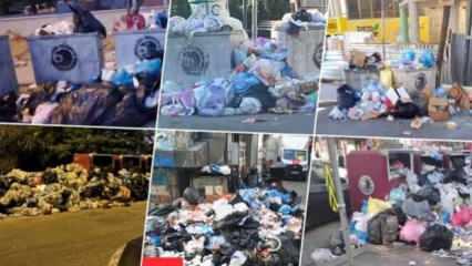 İstanbul'da 4 gündür aynı görüntü... Kartal ve Maltepe çöp ilçeye dönüşüyor!