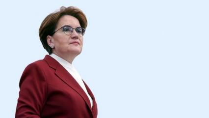 Meral Akşener’den kayınbiraderi hakkında suç duyurusu