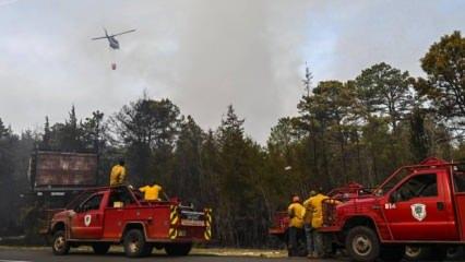 California’da  yangın paniği! 132 yapı harabeye dönüştü!