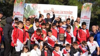 Doğaseverler, 438 metre yüksekliğindeki Kayışdağı Ormanı'nda dağ çileği topladı