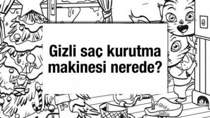 Gözlem yeteneğine güvenenlere özel: Sadece 5 saniyeniz var! Gizli saç kurutma makinesi nerede?