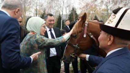 Kırgızistan'da Sadır Caparov, Cumhurbaşkanı Erdoğan'a at hediye etti