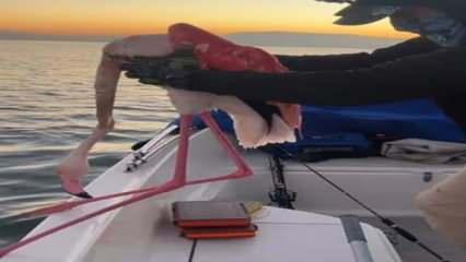 İzmir'de flamingoyu balıkçılar kurtardı