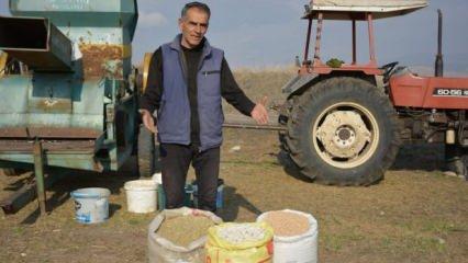 200 yıllık ata tohumlarını ekerek çoğalttı: Ticaretine başladı