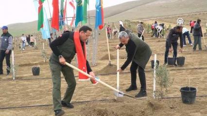 Azerbaycan'da 111 bin 111 fidan toprakla buluştu