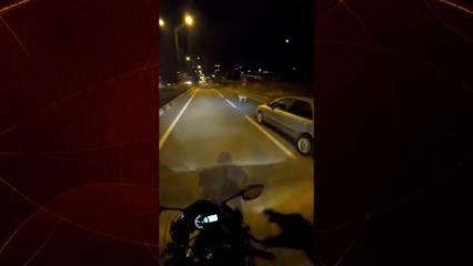 Başıboş köpek trafiği altüst etti! O anlar böyle görüntülendi...