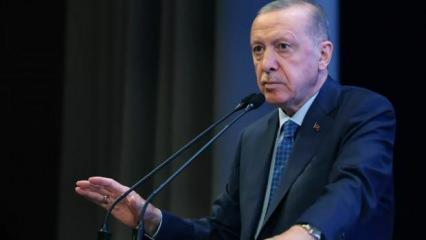 Erdoğan yeniden aday olabilecek mi? İşte en güçlü formül...