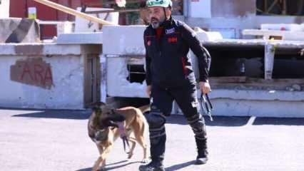 İHH arama kurtarma köpeği ve eğitmeni 122 ekip arasında birinci oldu
