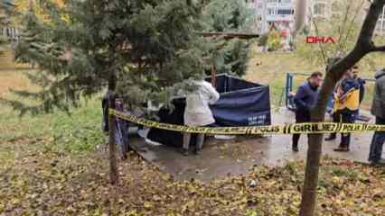 Tedavi için hastaneye giderken parkta öldü