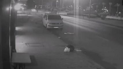 Fatsa’da feci kaza! Otomobil, gelinlikçi dükkanına daldı