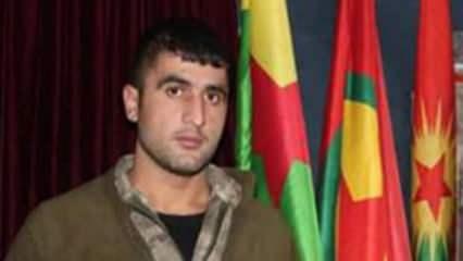 MİT'ten nokta operasyon! Serhat Tagay etkisiz hale getirildi
