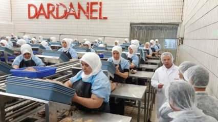 Dardanel yabancılara satılıyor 