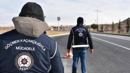 'Kalkan-31' operasyonunda bin 298 düzensiz göçmen yakalandı
