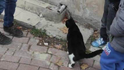 Bilecik’te iç ısıtan manzara! Yavrusunu kurtarılına kadar bekledi
