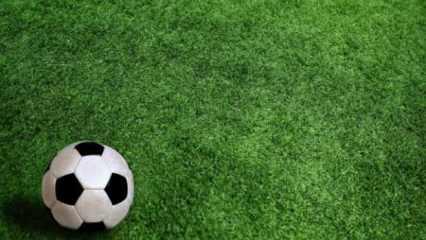Futbolu bıraktıktan sonra ilginç mesleklere yönelen dünya yıldızları!