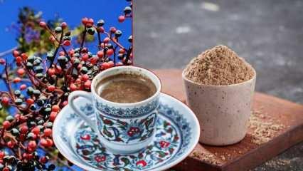 Menengiç kahvesi nedir, nasıl yapılır? Sütlü menengiç kahvesi faydaları