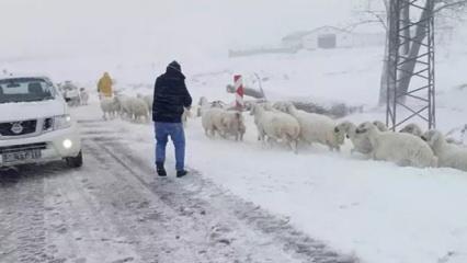 Meteoroloji kayıtlara geçti! İşte Türkiye'nin en soğuk yeri