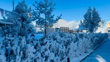 Türkiye'nin en soğuk yerleşim yeri seçildi: -23.2 dereceyi gördü!