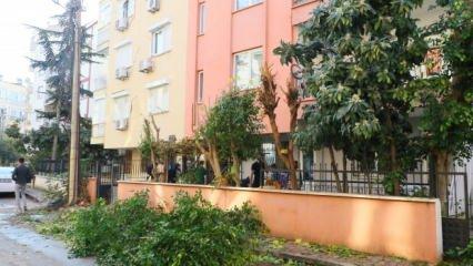 Ağacın dalını budamak isterken bir mahalleyi elektriksiz bıraktı