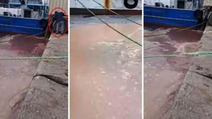 Bulun bunu! Görele Limanı’ndan denize atık boşalttılar