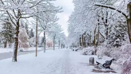 La Nina soğukları nedir? La Nina kışı Türkiye'yi nasıl etkileyecek?
