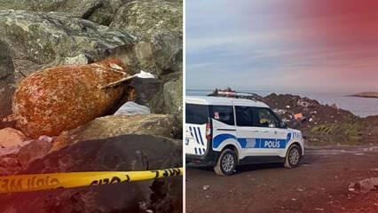 Rize sahilinde hareketli dakikalar: Bomba imha ekipleri çağırıldı!