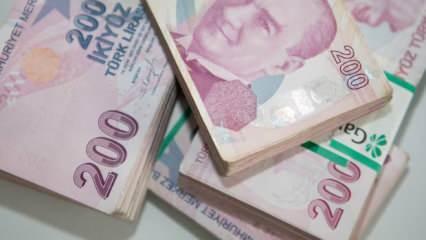 "Türkiye Aile Destek Programı" ödemeleri hesaplara yatırılıyor
