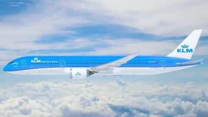 100 adet domuz 'Boeing 787' uçağını indirdi!