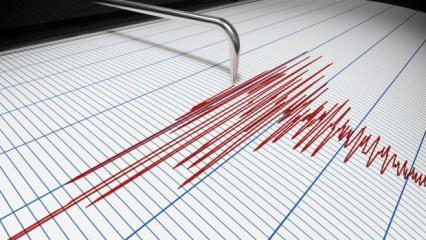 Muğla'da korkutan deprem!