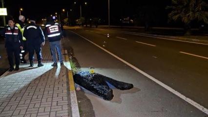 Aydın'da feci kaza: Kardeşini korumak isterken hayatını kaybetti!