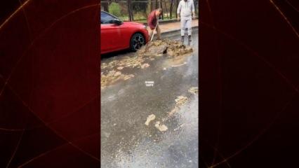 Bakırköy'deki kanalizasyon görüntüsü vatandaşı isyan ettirdi!