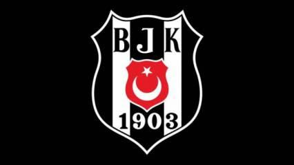 Beşiktaş'ta başkan adayları başvurularını yaptı