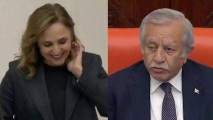 DEM Partili Doğan Meclis'te, Cumhurbaşkanı Yardımcısı Yılmaz'ı Kürtçe selamladı