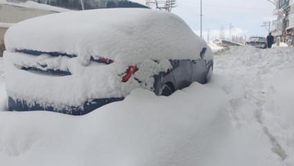 Van, Hakkari, Muş ve Bitlis'te 799 yerleşim yerine ulaşım sağlanamıyor