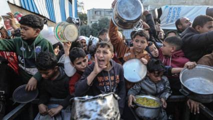 Bu yeni yıl sadece yeni bir utan&ccedil; sayfası olmaya adaydır