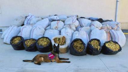 Batman'da ele ge&ccedil;irildi: Tam 3 ton 640 kilogram!