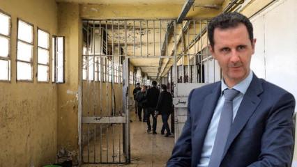 Esed'in istihbarat dosyaları ortaya &ccedil;ıktı: Eşi dostu birbirine d&uuml;ş&uuml;rm&uuml;ş!