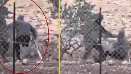 Filistinli yaşlı adama İsrail işkencesi: Bacağım yok!