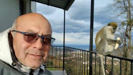 Giresun'da ilgin&ccedil; g&ouml;r&uuml;nt&uuml;ler! Hayvanat bah&ccedil;esinden ka&ccedil;tı, evin balkonunda muz yedi