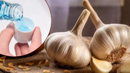 Sarımsak gargarayı solladı: Uzmanlar kimyasaldan daha g&uuml;&ccedil;l&uuml; olduğunu s&ouml;yl&uuml;yor