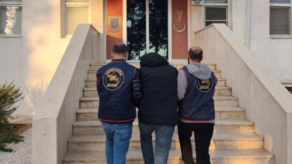 Mardin'de ilgin&ccedil; dolandırıcılık: Kargo kutusundan &ccedil;ıkan muz ile vurgun yaptı