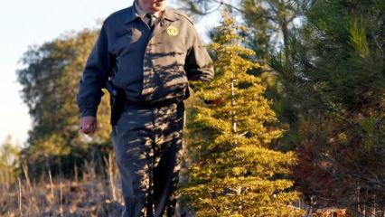 Orman Genel M&uuml;d&uuml;rl&uuml;ğ&uuml; 26 iş&ccedil;i istihdam edecek