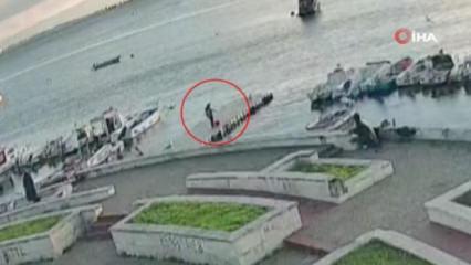 Pendik'te balığa yaklaşan kediyi tekmeleyip denize fırlattı