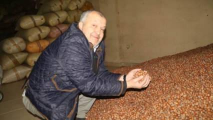 TMO fındık alımını durdurdu, serbest piyasada fiyatlar etkilendi