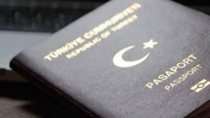 AB Türkiye Delegasyonu'ndan 'yeşil ve gri pasaport' açıklaması