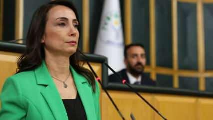 DEM Partili Tülay Hatimoğulları ağzındaki baklayı erken çıkardı! 
