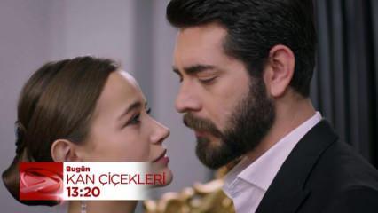 Dilan ve Baran sonunda mutluluğu buluyor mu? Kan Çiçekleri 428. bölüm fragmanı