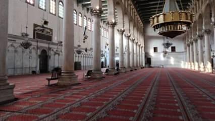 İlk teravihe yetişecek! Emevi Camii halılarını Gaziantepli halıcılar yapacak