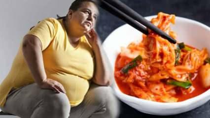 Kore yemeği kimchinin obeziteyi azaltma ve bağırsak sağlığını iyileştirme etkileri keşfedildi!